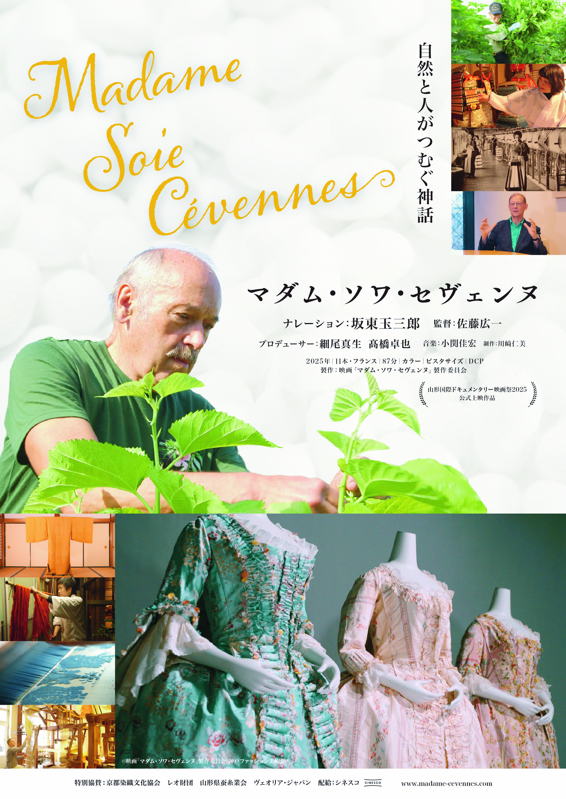 記事本文画像
